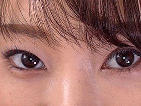 流暢な淫語を駆使し男の乳首を貪りつくす、淫乱黒デカ乳首アナウンサー講師 秋元千早　サンプル画像06